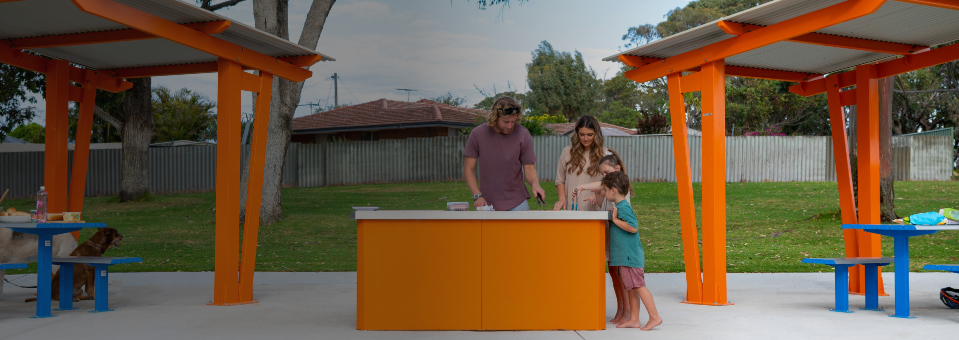 Grillex BBQ - Hero Banner 1